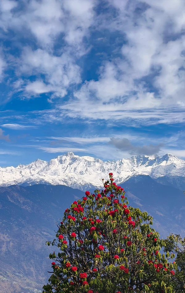 Chopta Chandrashila Tungnath Trek with Deoriatal